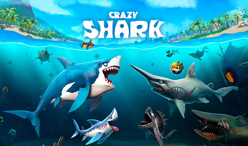 Crazy Shark cover image